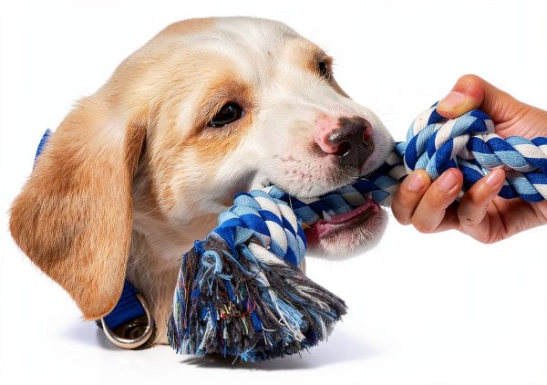 TLAZZ Dog Rope Toy Cotton Tug Chew Dental Cleaning Medium-4