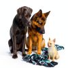 Pacific Pups XXL Dog Rope Toy Cotton Tug of War for Large-5