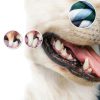Pacific Pups XXL Dog Rope Toy Cotton Tug of War for Large-6
