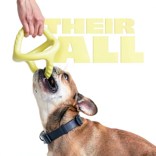 Benebone Dog Tug Toy Natural Rubber Enrichment Chew-1