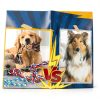 Forfon Dog Rope Toys Set Durable Chew Dental Care Large Dogs-5