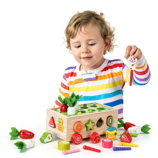 KMTJT Montessori Wooden Sorting Toy Educational STEM Toddler-6