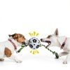 QDAN Dog Rope Toys Interactive Soccer Ball Durable Cotton-4