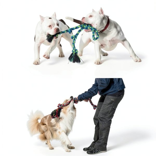 Eefitoys Dog Rope Toys Durable Cotton Tug of War Set-3