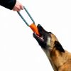 Chuckit Ultra Bumper Tug Dog Toy Durable Rubber Rope-3