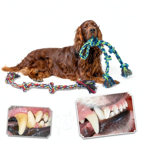 Eefitoys Dog Rope Toys Durable Cotton Tug of War Set-4