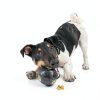 Beiker Dog Rope Toys 15 Pack Chew Teething Interactive Play-3
