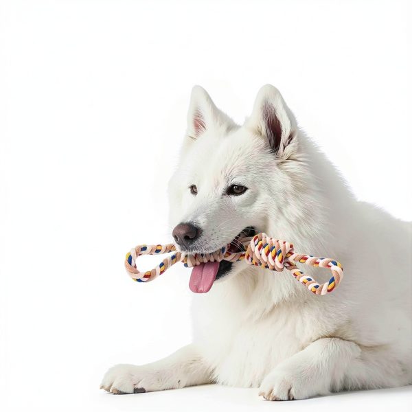 REFEVENO Dog Rope Toy Durable Cotton Chew Teeth Cleaning-2