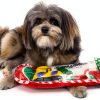 K&H Dog Squeaky Plush Toys Christmas Stocking Set-3
