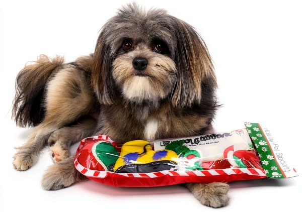 K&H Dog Squeaky Plush Toys Christmas Stocking Set-3