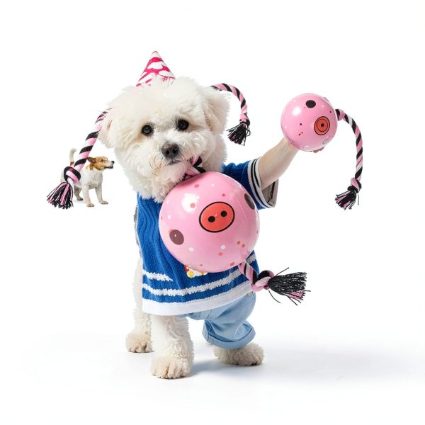 QDAN Dog Rope Toy Interactive Play Training Soccer Ball-4