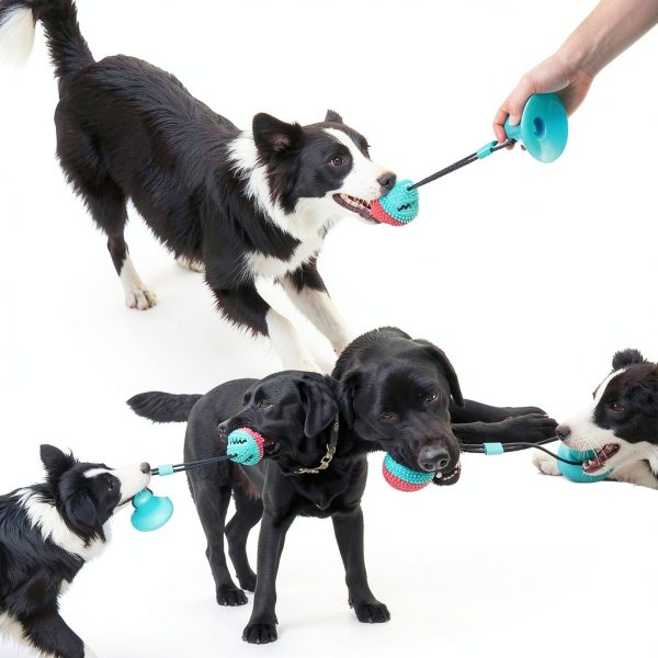 ALLRIER Dog Rope Toy TPR Durable Chew Teeth Cleaning-1