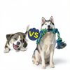 Rocfish Dog Rope Toys 3 Pack Cotton Dental Chew Tug-3