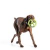 Benebone Dog Tug Toy Natural Rubber Enrichment Chew-3